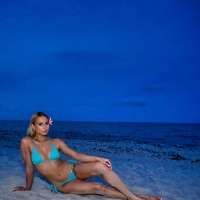 Miami Vibes